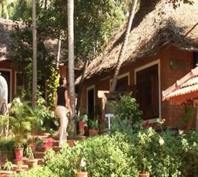 фото отеля Somatheeram Ayurveda Resort Kovalam