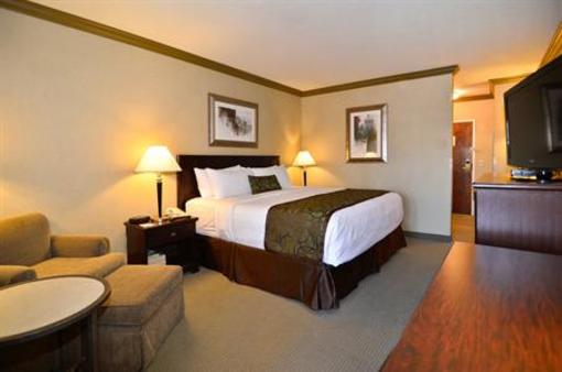 фото отеля BEST WESTERN Brookside Inn