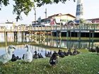 фото отеля Hampton Inn Myrtle Beach-Broadway @ The Beach