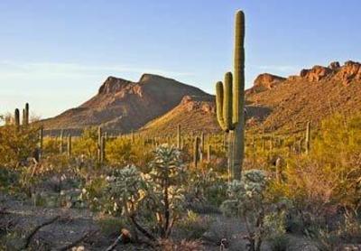фото отеля Tucson Marriott University Park