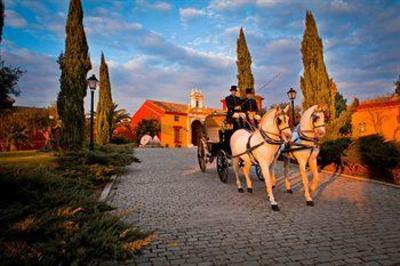 фото отеля Eurostars Hacienda La Boticaria