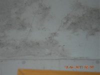 Red River Hotel I