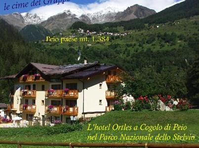 фото отеля Hotel Ortles Peio