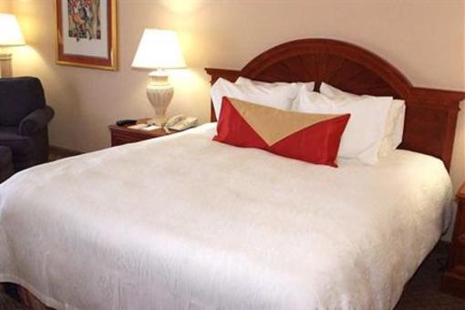 фото отеля Hilton Garden Inn Detroit Metro Airport