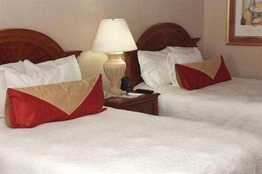 фото отеля Hilton Garden Inn Detroit Metro Airport