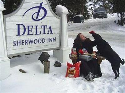 фото отеля Delta Sherwood Inn Port Carling