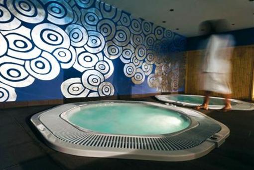 фото отеля Hotel & Spa Le Savoie