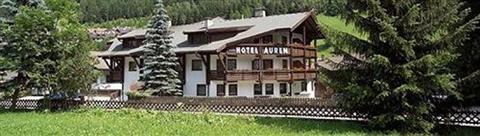 фото отеля Auren Hotel Ahrntal