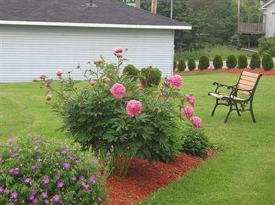 фото отеля Antigonish Evergreen Inn