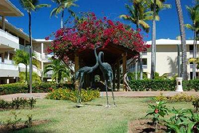 фото отеля Sirenis Cocotal Beach Resort Casino & Spa Punta Cana