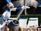 фото отеля Disney's All-Star Sports Resort