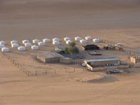 Arabian Oryx Camp