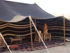 фото отеля Arabian Oryx Camp