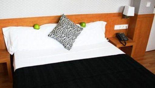 фото отеля Hotel Berri Versalles