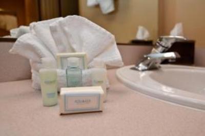 фото отеля BEST WESTERN Plus Landing View Inn & Suites