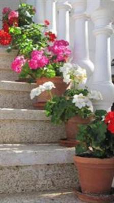 фото отеля Hostal Avalon