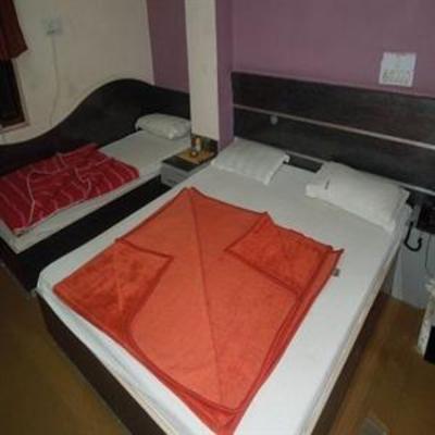 фото отеля Hotel Preet Palace
