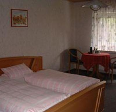 фото отеля Gasthaus Pension Odenwald