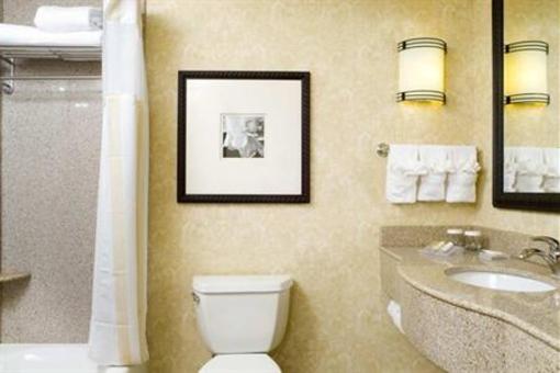 фото отеля Hilton Garden Inn Atlanta West/Lithia Springs