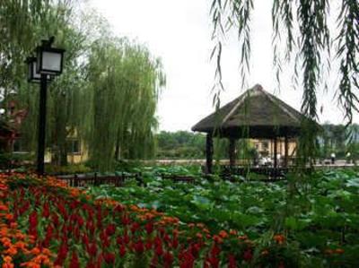 фото отеля Chongqing Tianci Hot Spring Resort