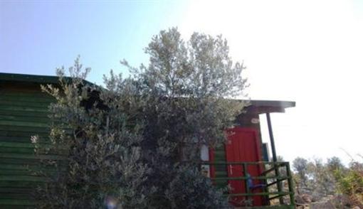 фото отеля Nuri's Beach Bungalows