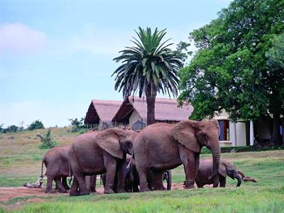 фото отеля Gorah Elephant Camp Plettenberg Bay