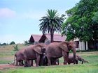 фото отеля Gorah Elephant Camp Plettenberg Bay