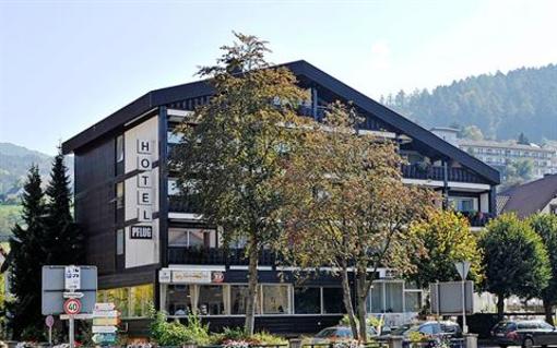 фото отеля Hotel Pflug Ottenhofen im Schwarzwald