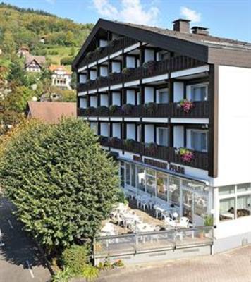 фото отеля Hotel Pflug Ottenhofen im Schwarzwald