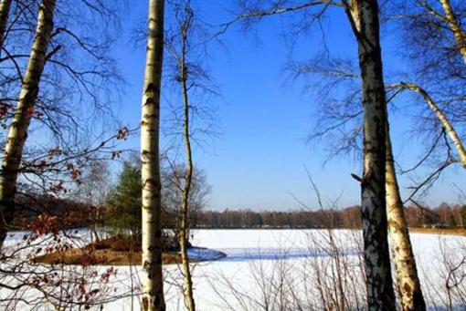 фото отеля Hotel Am Springhorstsee