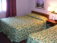 Timberline Motel
