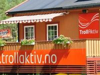 Trollaktiv