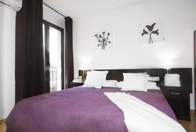фото отеля BCN Internet Apartments 212 Passeig de Gracia
