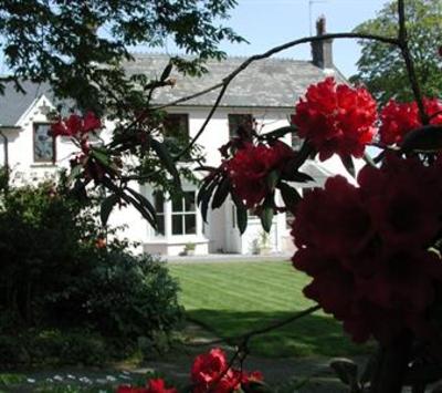 фото отеля Cefn-y-Dre Country House Bed & Breakfast