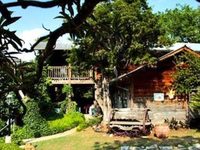 Robin's Nest Bed and Breakfast Lakeway