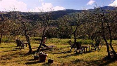 фото отеля Castellare de' Noveschi