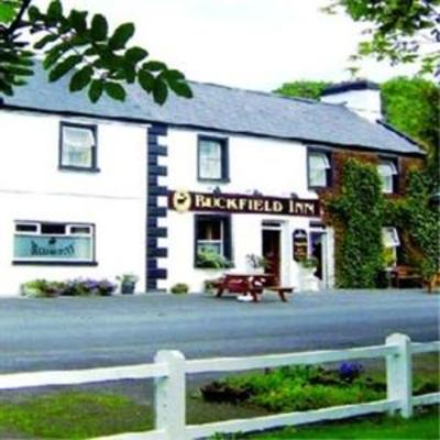 фото отеля Buckfield Inn Westport (Ireland)