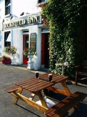 фото отеля Buckfield Inn Westport (Ireland)