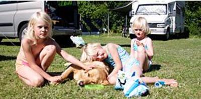 фото отеля TopCamp Frederikshavn Nordstrand Camping
