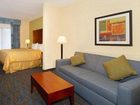 фото отеля Holiday Inn Express & Suites Lithonia-Stonecrest