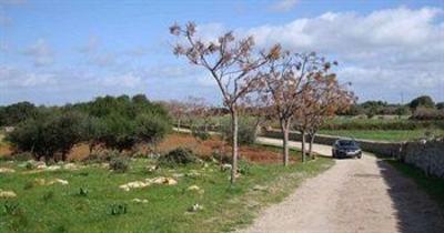 фото отеля Sant Joan De Binissaida