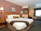 фото отеля BEST WESTERN PLUS Peppertree Airport Inn