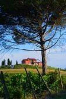 фото отеля Podere Benintendi