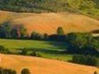 фото отеля Podere Benintendi
