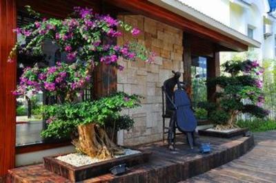фото отеля Sufubi Gallery Hotel
