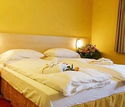 фото отеля Hotel Cepina, Albergo Incantato