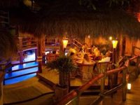 Blue Parrot Fifth Avenue Hotel Playa del Carmen