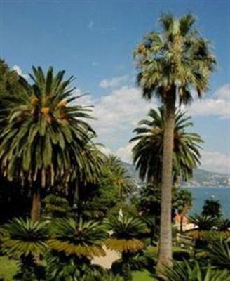 фото отеля Jolanda Hotel Santa Margherita Ligure