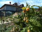 фото отеля La Torricella