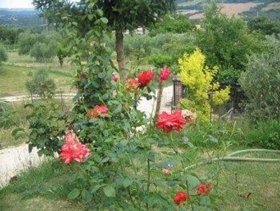 фото отеля Bed & Breakfast Il Roseto